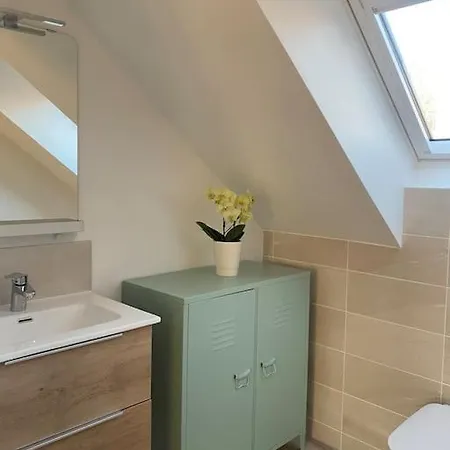 Appartement Dans Une Grange Renovee Strasbourg Exterior photo
