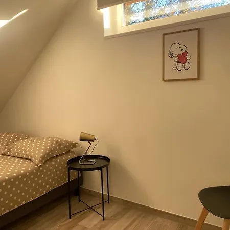 Appartement Dans Une Grange Renovee Strasbourg Exterior photo