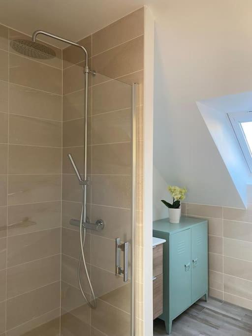 Dans Grange Renovee * Strasbourg